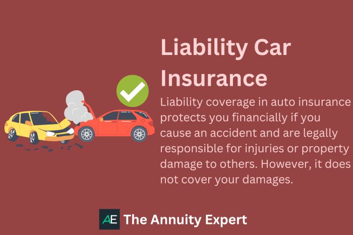 Liability Car Insurance: Cost And Coverage (2023)