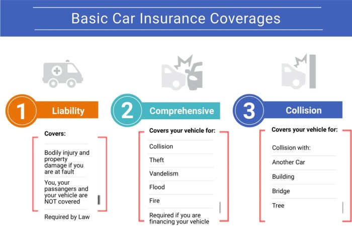 ⁠How to Read and Understand Your Auto Insurance Policy